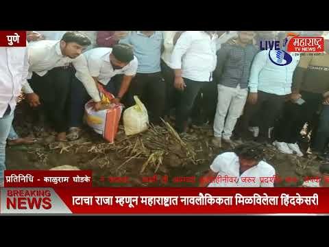 Live Maharashtra | घाटाचा राजा म्हणून महाराष्ट्रात नावलौकिकता मिळविलेला...